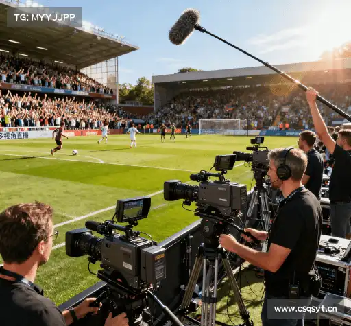 为什么选择我们